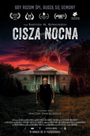 Cisza nocna 2024 PL vider