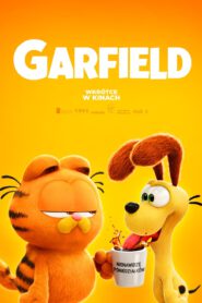 Garfield 2024 vider