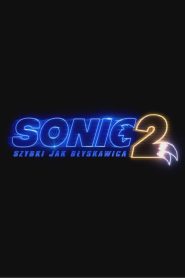 Sonic 2 Szybki jak błyskawica vider